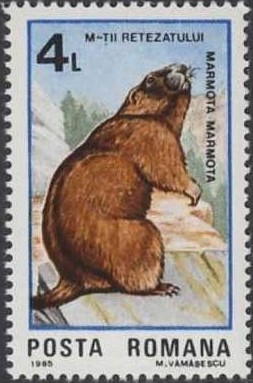 4postzegel-marmota-marmota-alpenmarmot-murmeltier-roemenie-1985-postzegelblog
