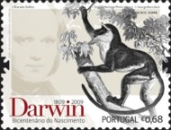 darwin-portugal-2009-068