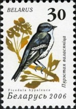1-postzegel-bonte-vliegenvanger-wit-rusland-belarus-2006
