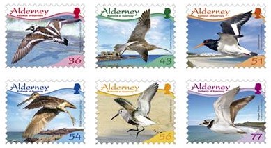 birds-alderney