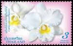 thailand_bloem_orchidee_150pix
