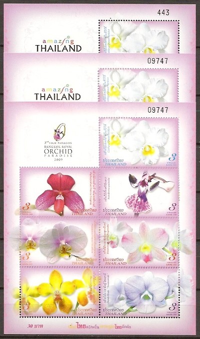 thailand_bloem_orchidee_blok_tentoonstelling