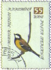 8 postzegel koolmees Parus major Roemenië 1959