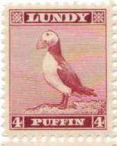 lundy-puffin-4