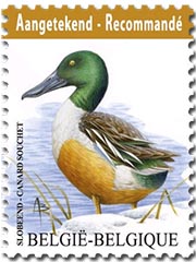 Postzegels België 2015 Aangetekend, De Slobeend 1 juni