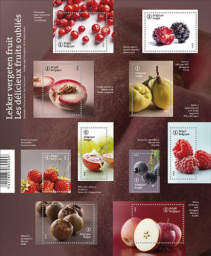 Postzegels België 2015 Vergeten fruit 29 juni