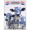 Typisch Nederlands - koeien 