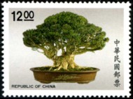 bonsai_936-190p.jpg