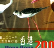blokje-hong-kong-g-715-190p.jpg