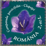 flora_roemenie_2009_poststamp_prachtklokje