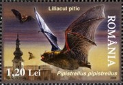 4 postzegel dwergvleermuis (Pipistrellus) Roemenië 2006