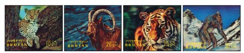 Series