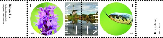 Vel Naardermeer - aan de oever