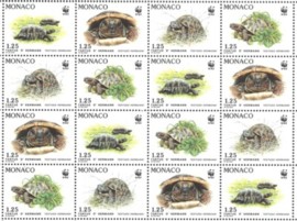 Monaco turtles
