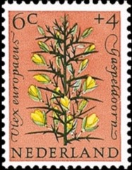 NVPH 739 - Zomerzegel 1960 - gaspeldoorn