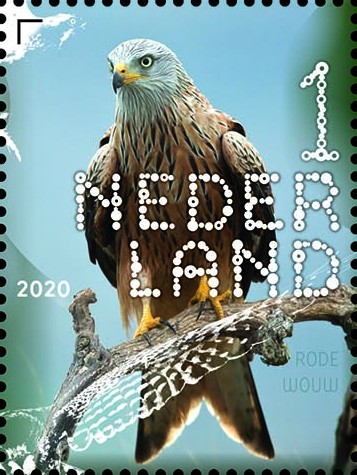 Beleef de natuur - roofvogels en uilen - rode wouw