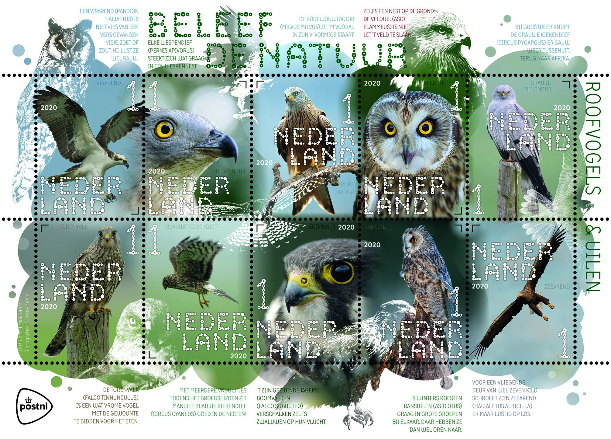 Beleef de natuur - roofvogels en uilen