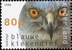 NVPH 1650 - blauwe kiekendief