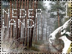 Beleef de natuur - Dwingelderveld - grove den