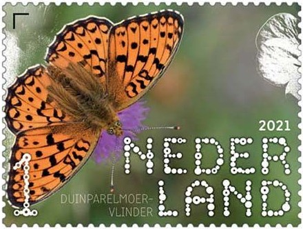 Beleef de Natuur - Duin en Kruidberg - duinparelmoervlinder