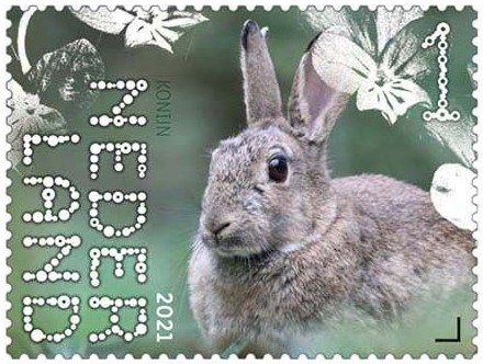 Beleef de Natuur - Duin en Kruidberg - konijn