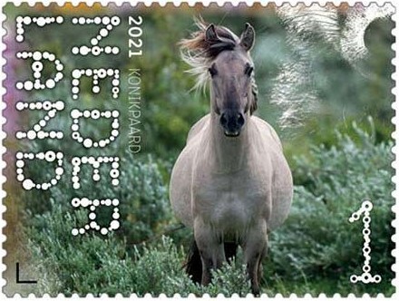 Beleef de Natuur - Duin en Kruidberg - konikpaard