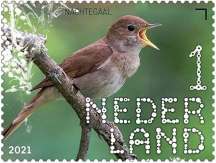 Beleef de Natuur - Duin en Kruidberg - nachtegaal