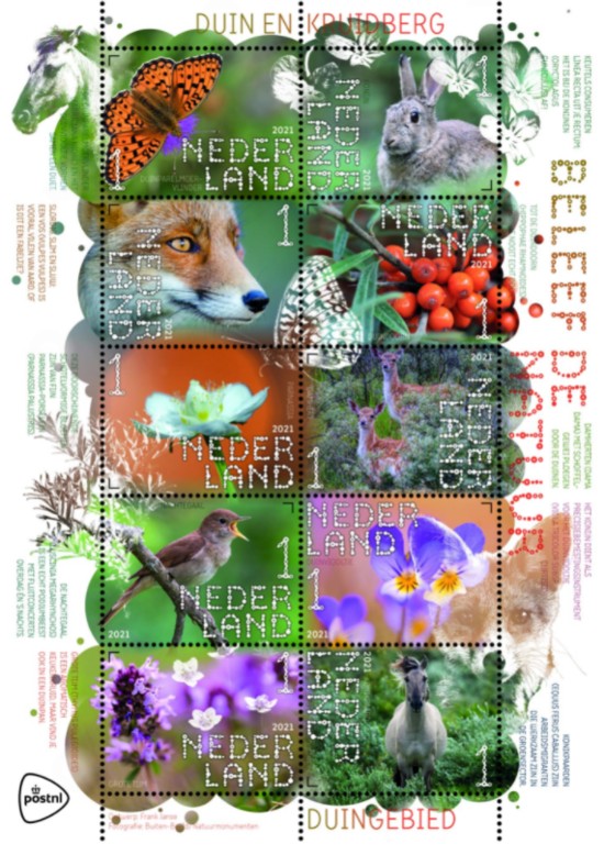 Beleef de Natuur - Duin en Kruidberg